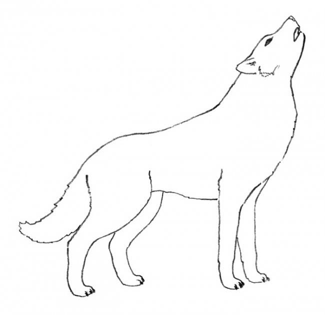 интересных рисунков волка для срисовки » Dosuga