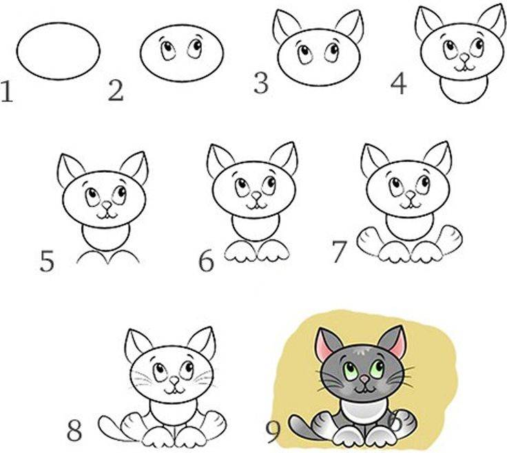 Как нарисовать котёнка карандашом поэтапно