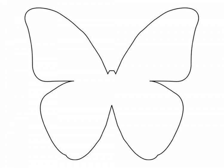 Шаблоны и трафарет бабочки для вырезания из бумаги