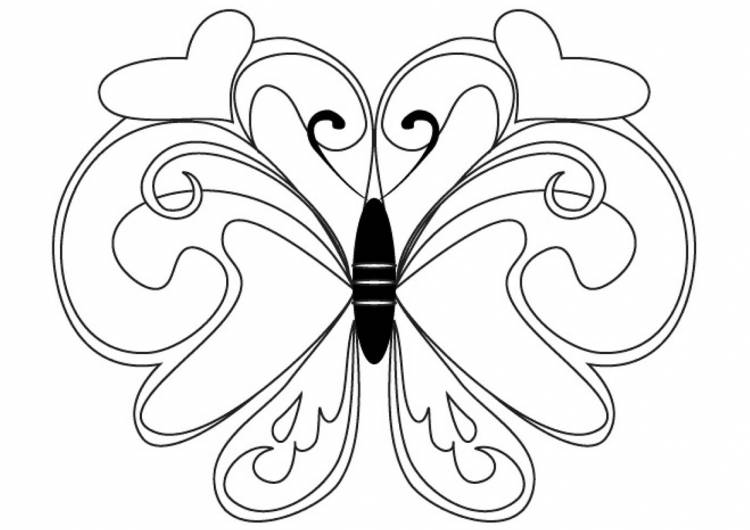 Раскраска Рисунок бабочки распечатать
