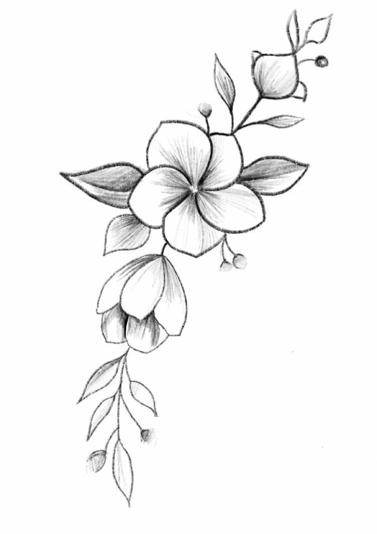 Легкие цветы для срисовки карандашом