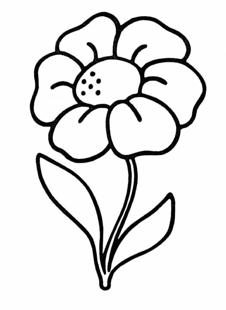 Рисунки для срисовки лёгкие цветы