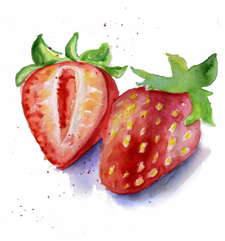 Рисунки акварелью ягоды легкие 