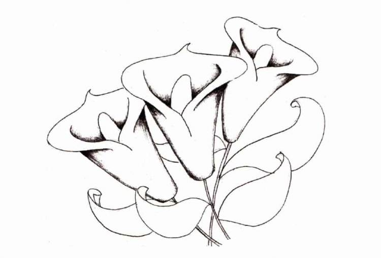 Как научиться рисовать лилию