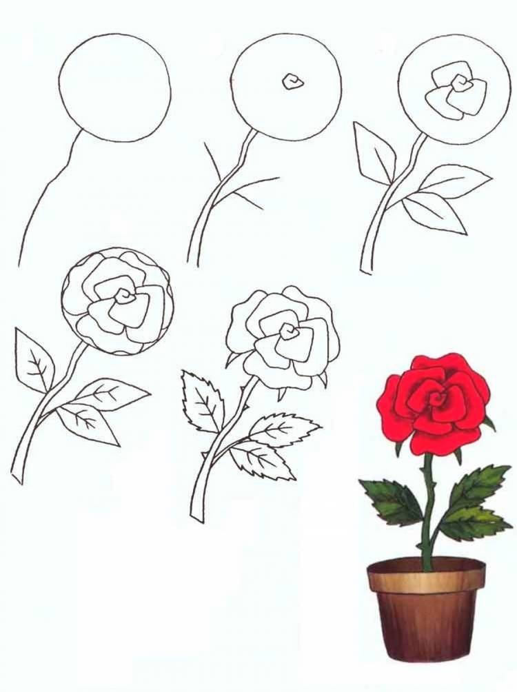 Цветы рисунки легкие для детей