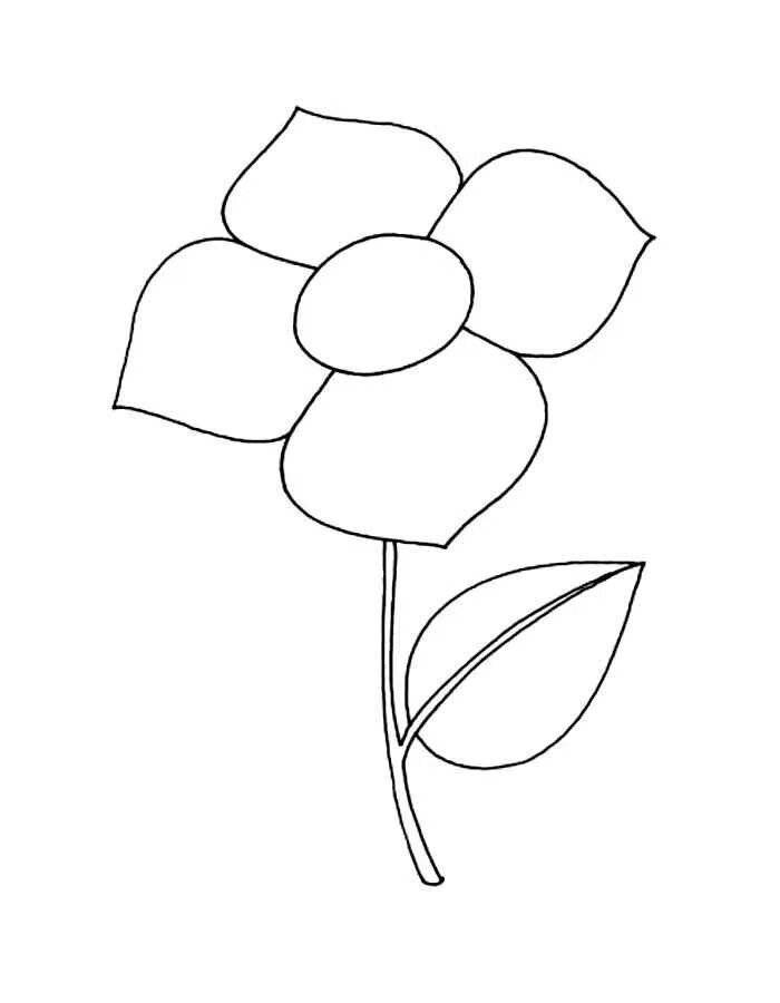 Картинки цветы для детей для срисовки 