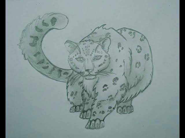 Как нарисовать снежного барса \\ how to draw a snow leopard