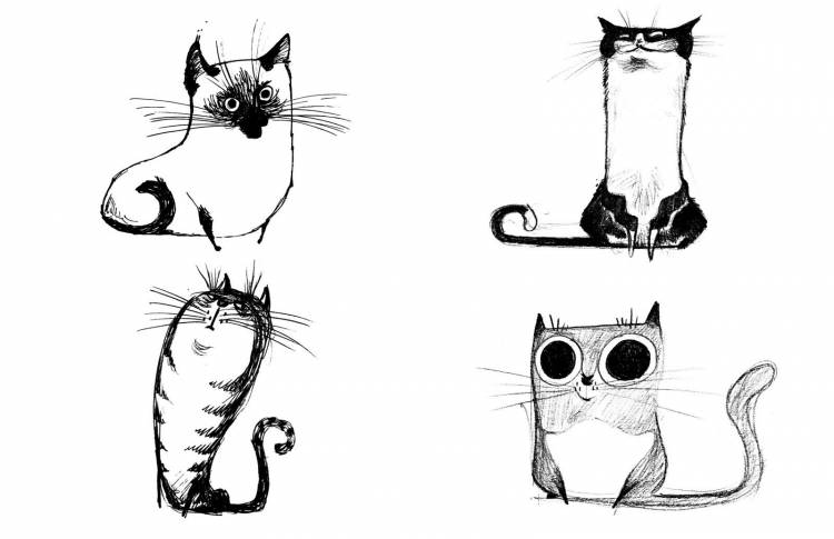 Черно белые рисунки котов 