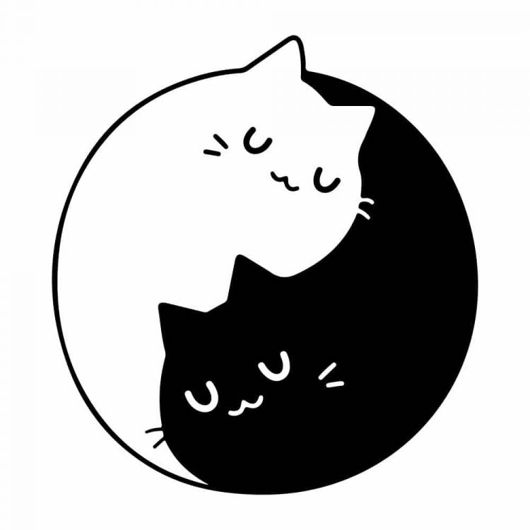Кошечка черно белый рисунок