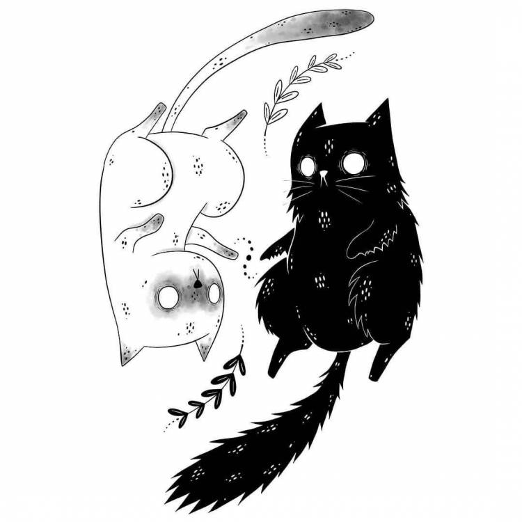 Черно белые картинки котиков рисунки