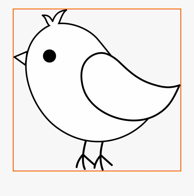 Птичка рисунок для детей карандашом