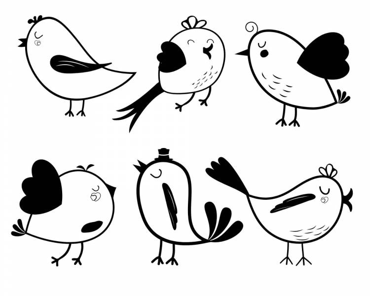 Птичка рисунок для детей карандашом