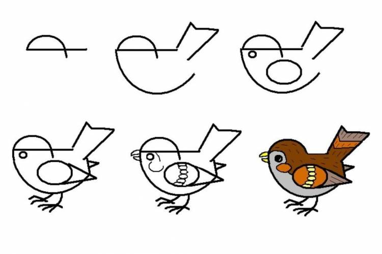 Птичка для детей рисунок поэтапно легко карандашом 