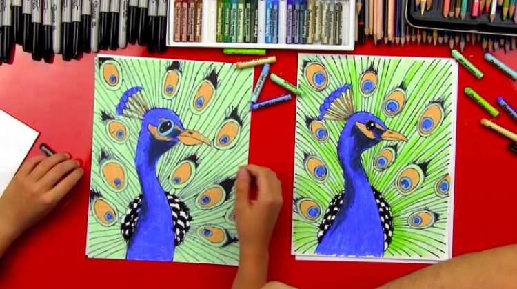 Как нарисовать павлина карандашом и красками поэтапно для новичков? Учимся рисовать павлина или жар-птицу с раскрытым хвостом