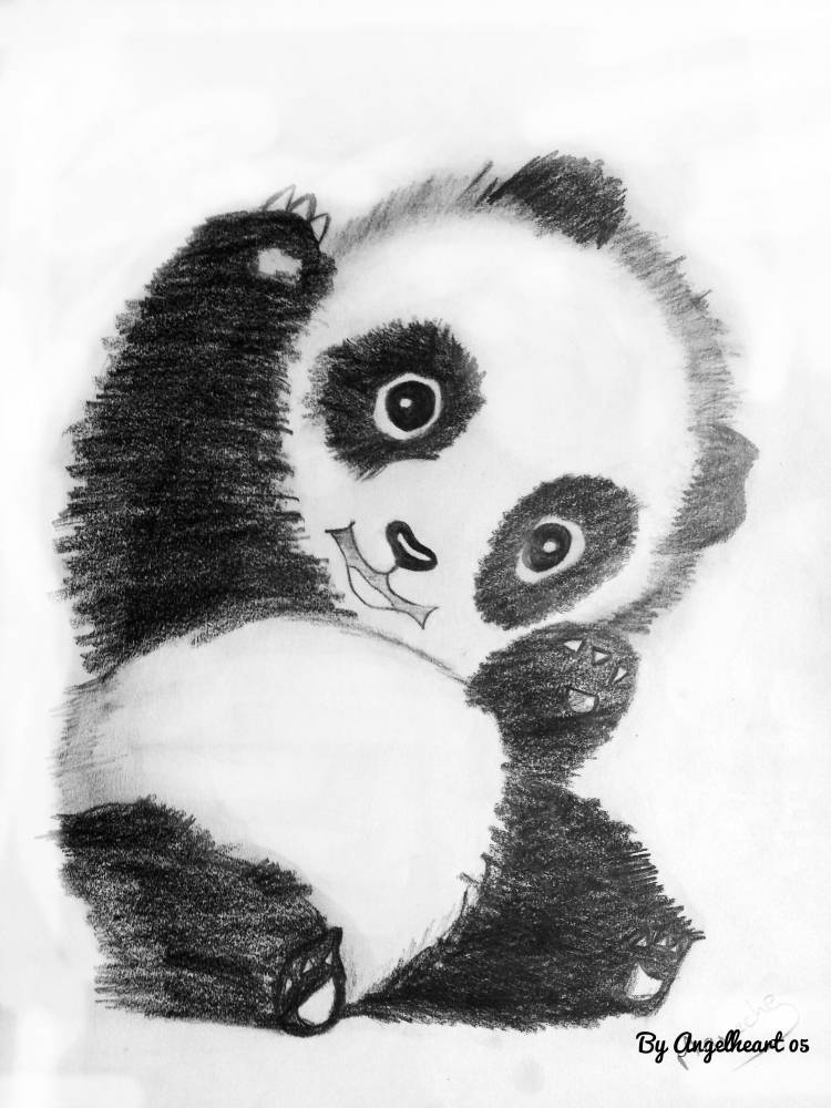 Лёгкие рисунки для срисовки карандашом Панда