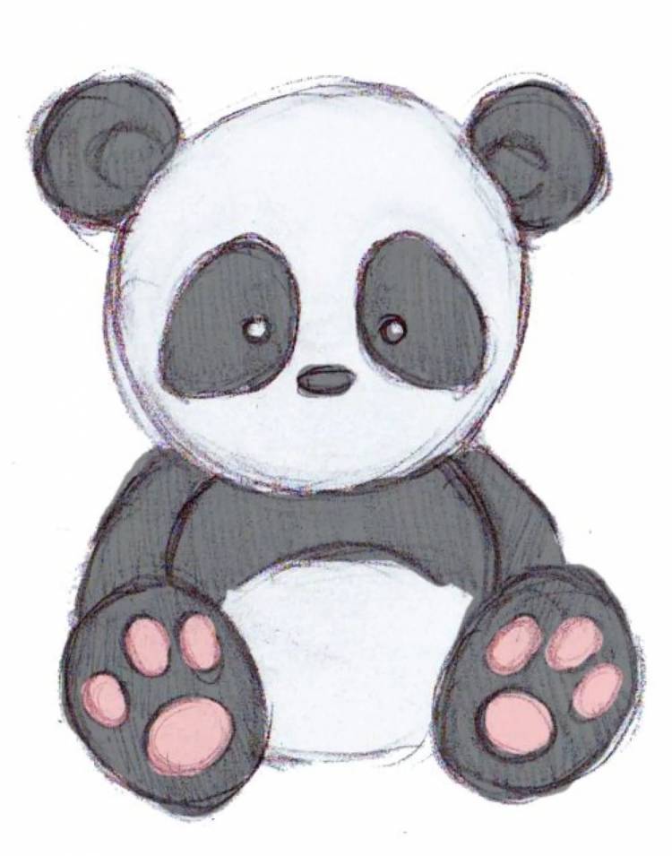 Легкие рисунки для срисовки панда