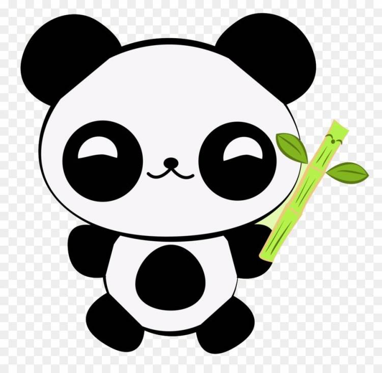 Рисунки для срисовки панда
