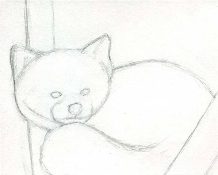 Как нарисовать красную панду карандашом?