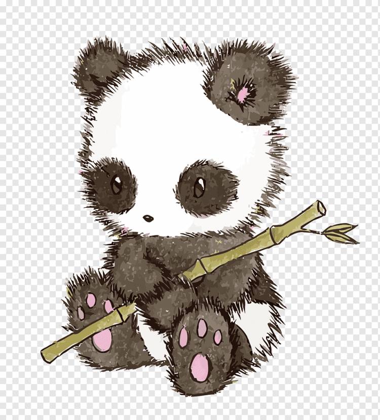 Милые картинки панды для срисовки