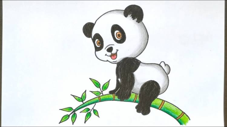 Панда рисунок легкий карандашом