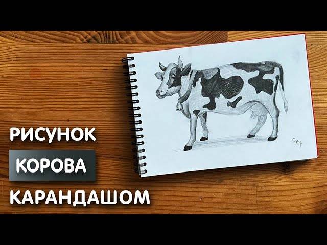 Как нарисовать корову карандашом