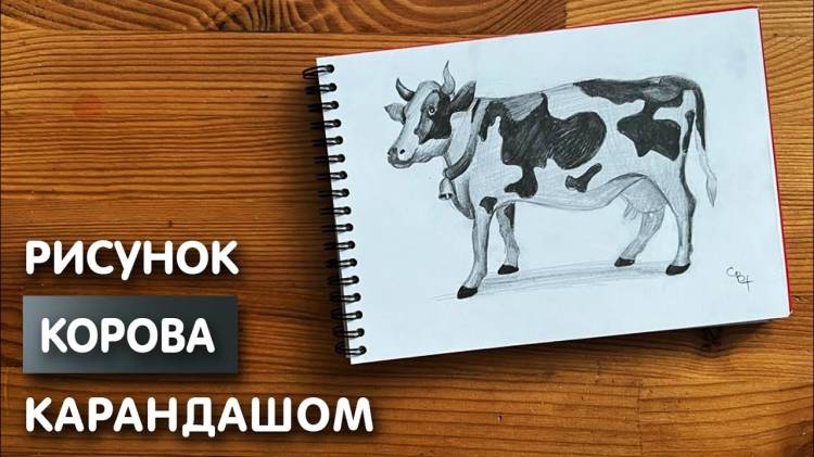 Как нарисовать корову карандашом