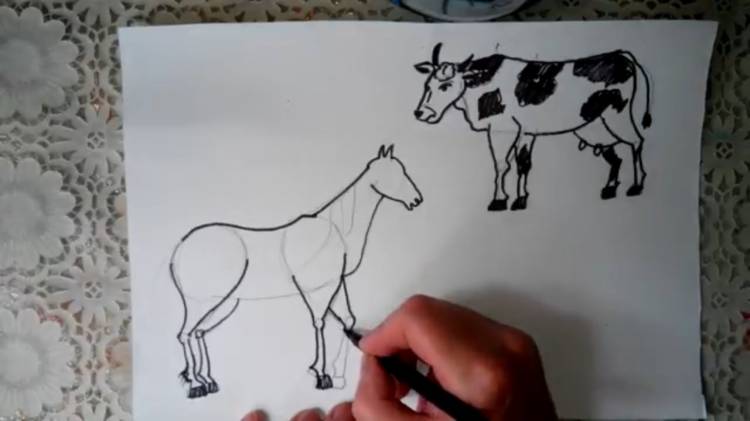 Схема рисования коровы и лошади