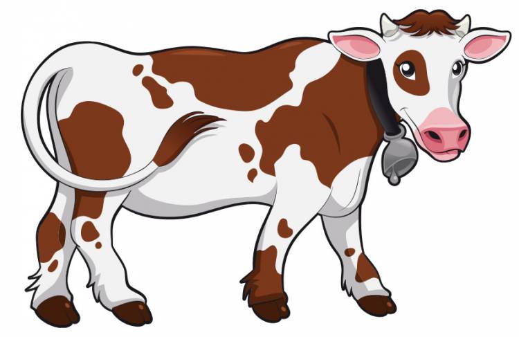 Рисунок коровы карандашом для детей 
