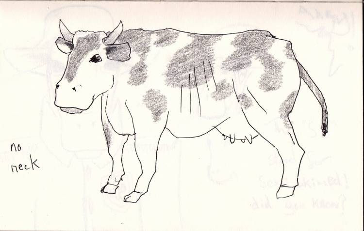 Рисунок корова для детей карандашом