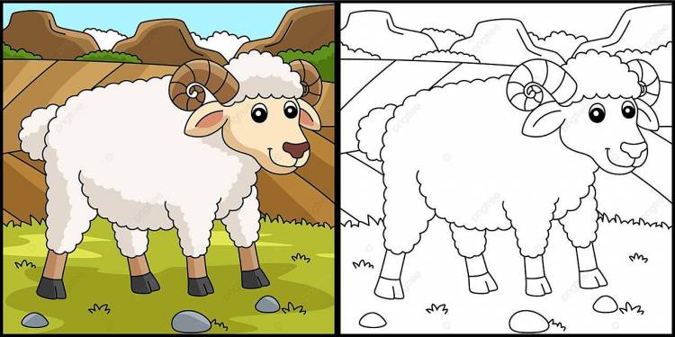 страница раскраски овец цветная иллюстрация каракули овцы заполнены цветом вектор PNG , каракули, овец, заполненный цвет PNG картинки и пнг рисунок для бесплатной загрузки