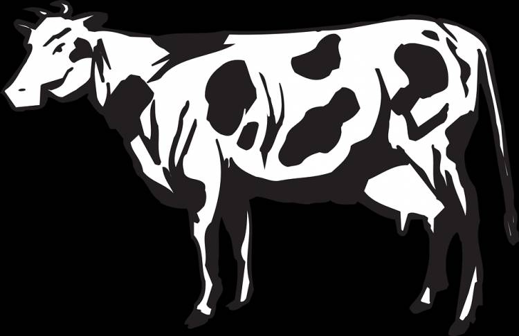 Корова векторный рисунок 