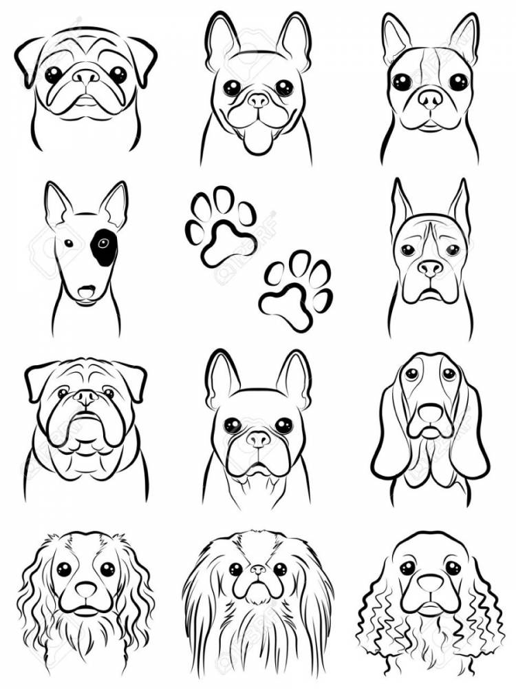 Легкие рисунки собак