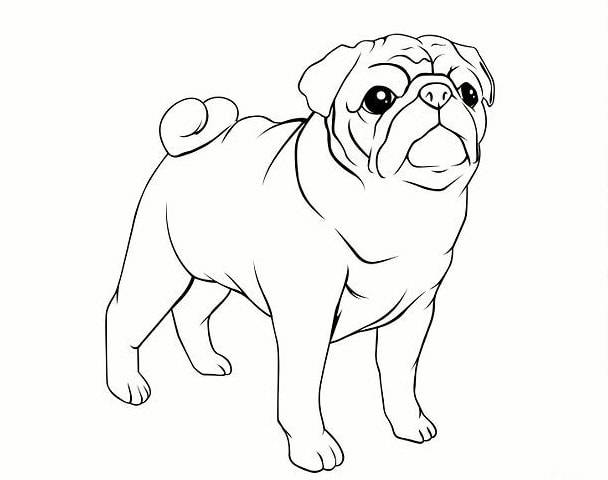 Рисунки собак для срисовки