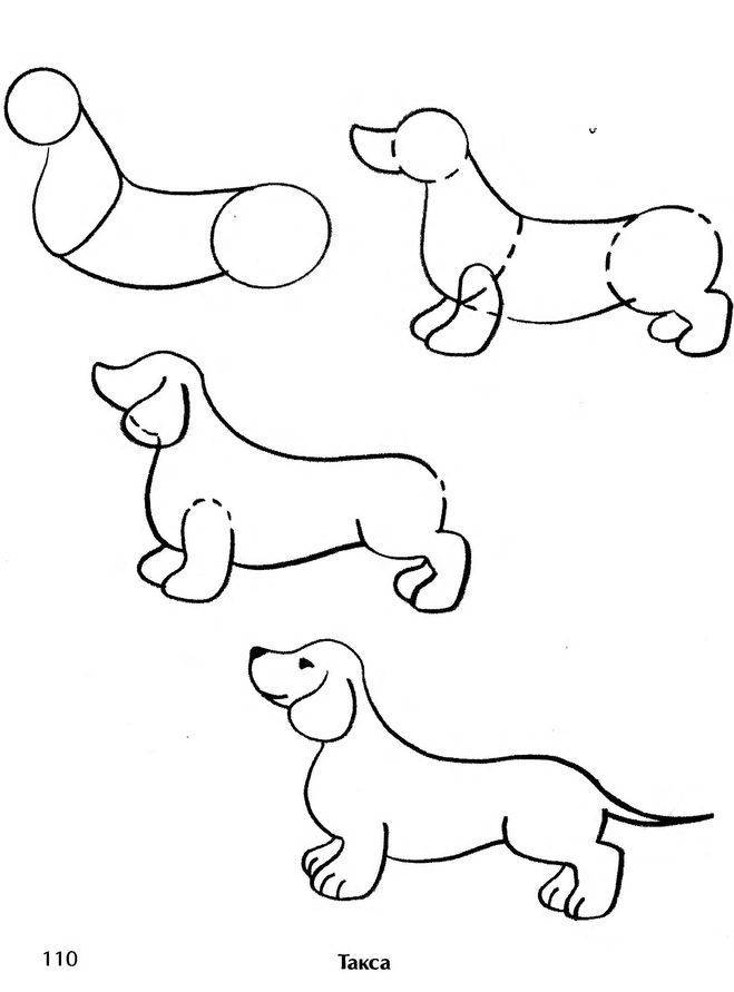 Как нарисовать собаку?