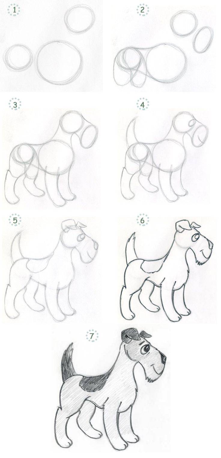 Как нарисовать собаку поэтапно карандашом