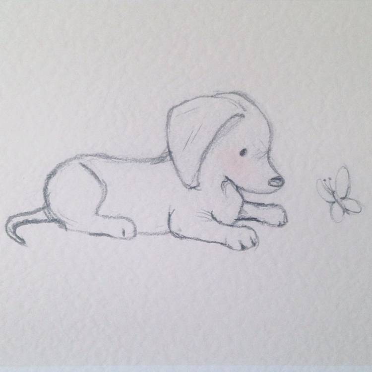 Рисунки для срисовки легкие собаки