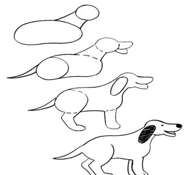 Рисунки собаки карандашом для детей поэтапно 