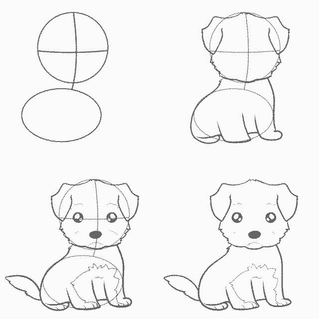 Рисунки для срисовки милые собачки 