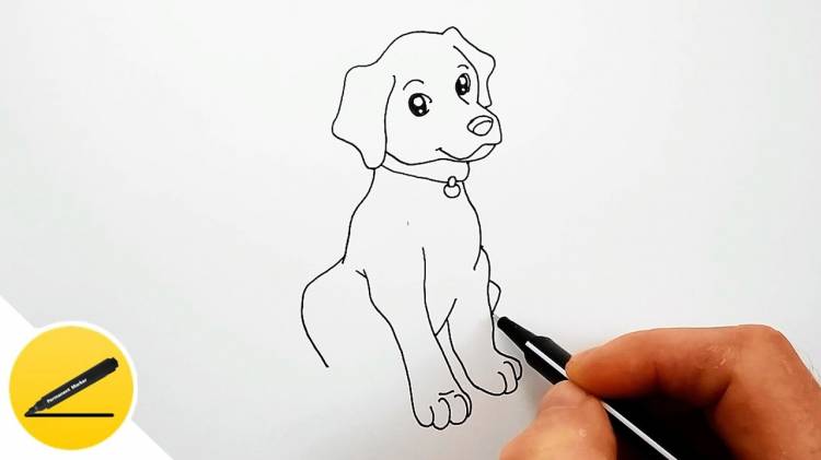 How to Draw a Dog step by step easy for Kids ✓