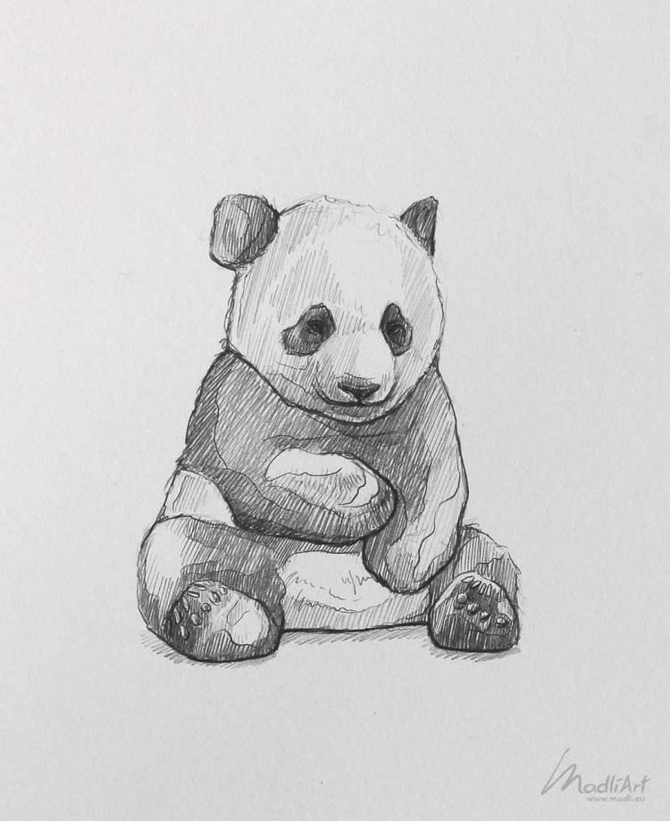 Рисунок панды карандашом