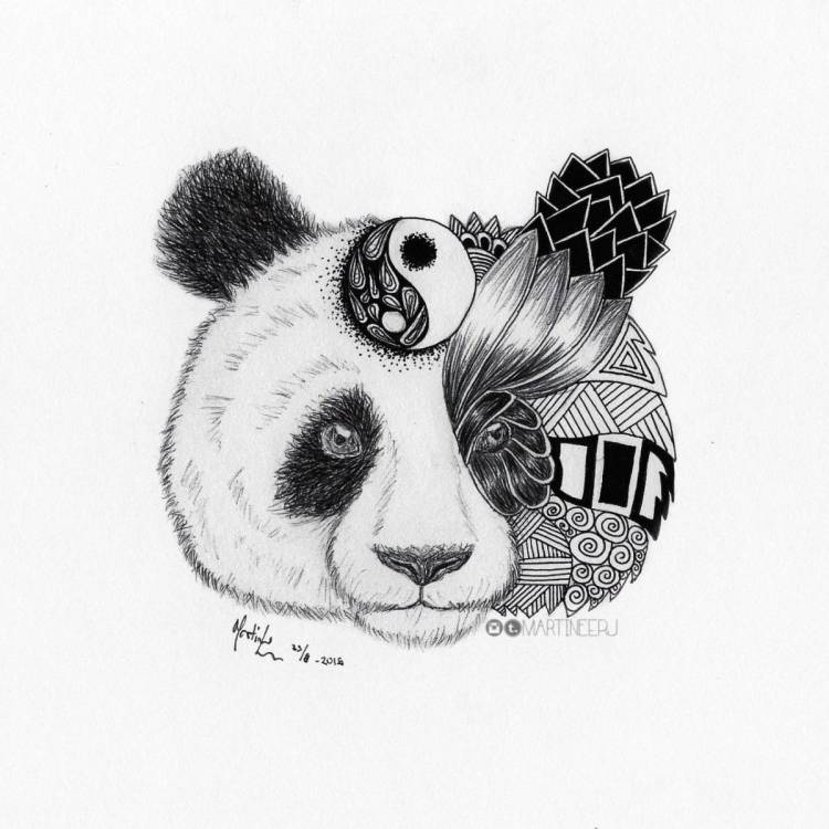Рисунок панда карандашом для детей