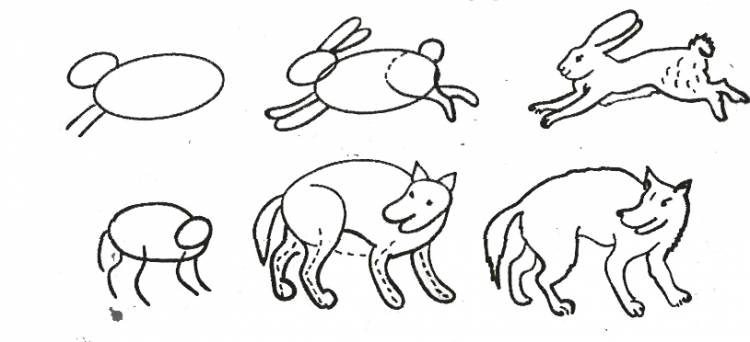 Наглядно-дидактическое пособие по обучению рисованию животных детей дошкольного возраста