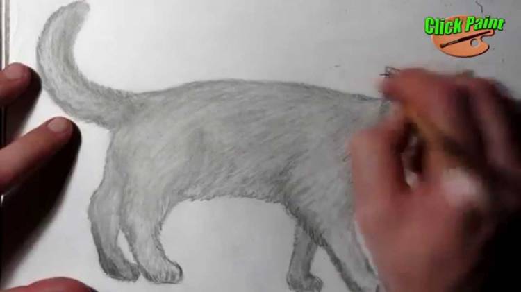 Как нарисовать кошку карандашом на бумаге