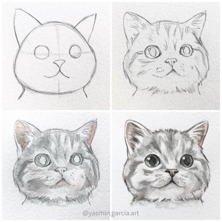 Котик рисунок карандашом для детей