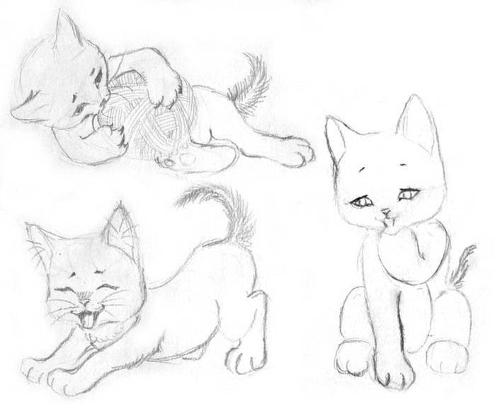 Рисунки котенка карандашом для детей 