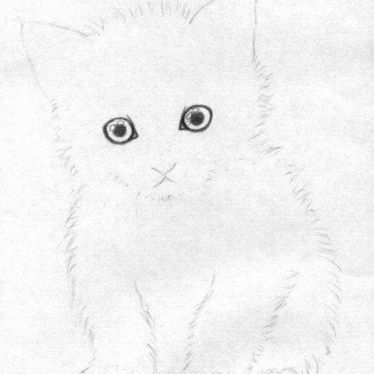 Самый легкий рисунок котенка