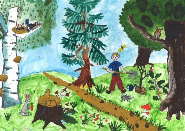 Рисунки леса карандашом для детей 