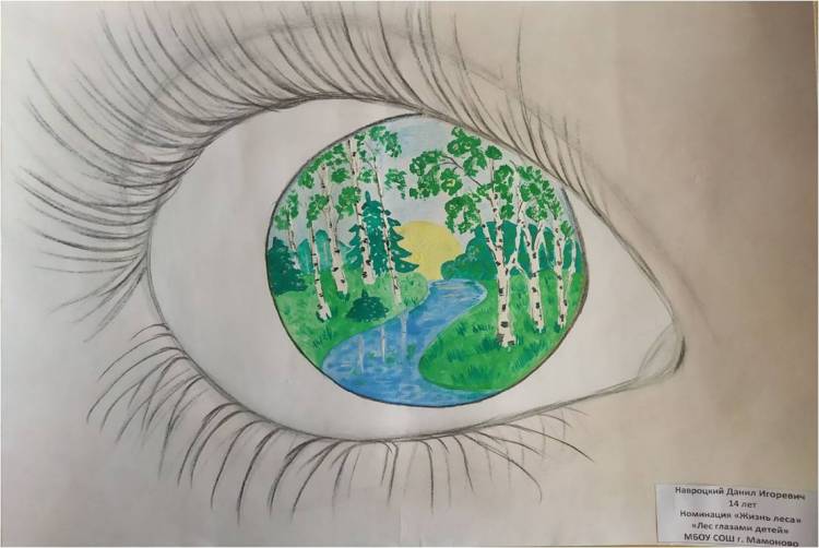 Итоги регионального конкурса творческих работ «Лес глазами детей»
