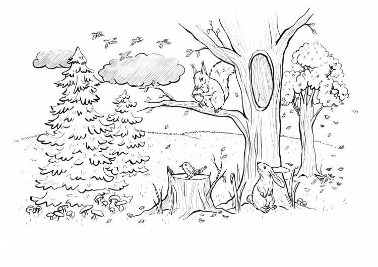 Сказочный лес рисунок карандашом