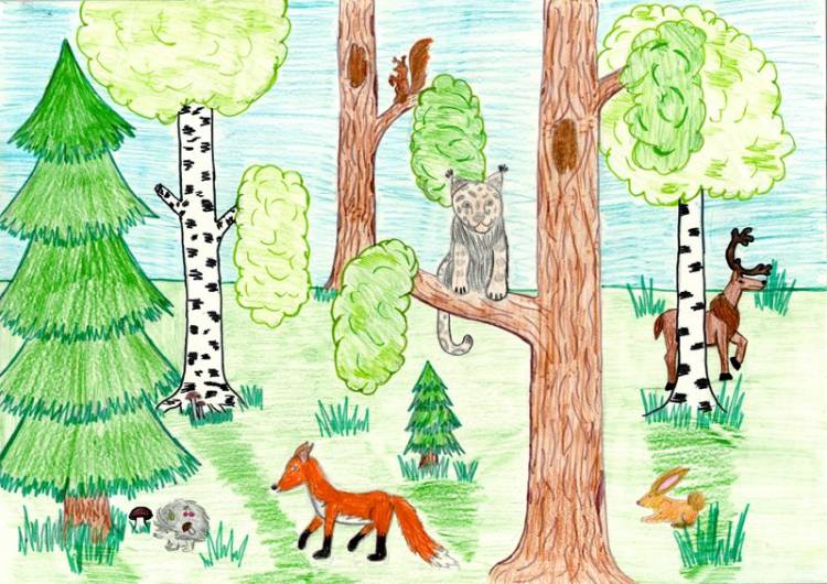 Рисунки животные леса легкие 